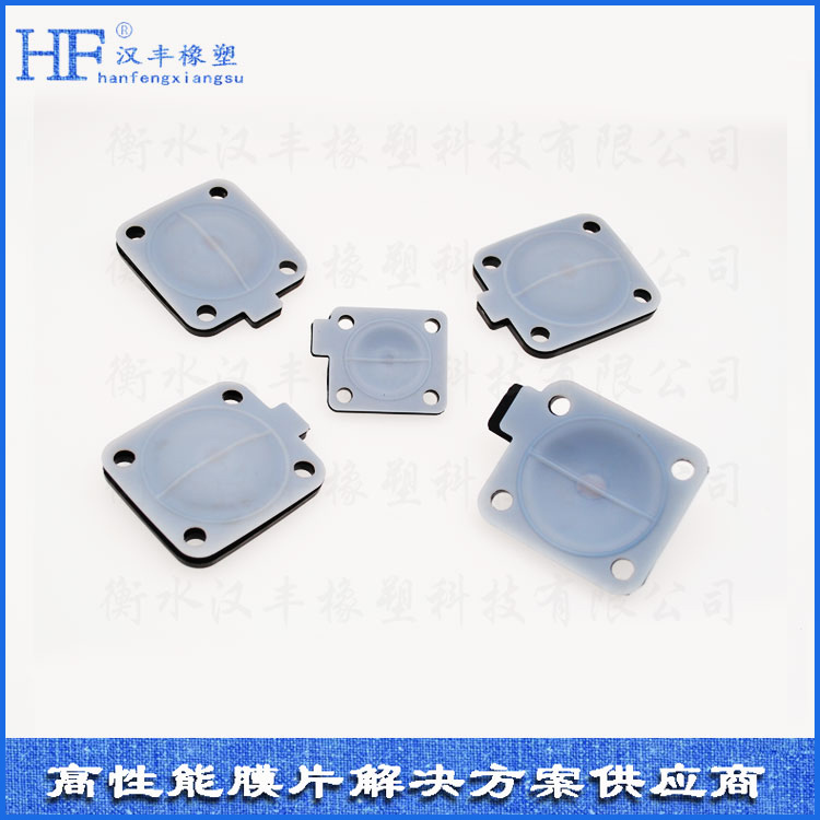 ptfe��(f��)��ĤƬ